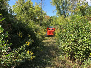 September 2019 - View looking west. Pathway cleared for access to other site piping.